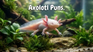 Axolotl Puns.