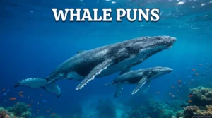 Whale Puns